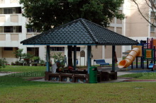 Blk 222 Pending Road (Bukit Panjang), HDB 4 Rooms #223122